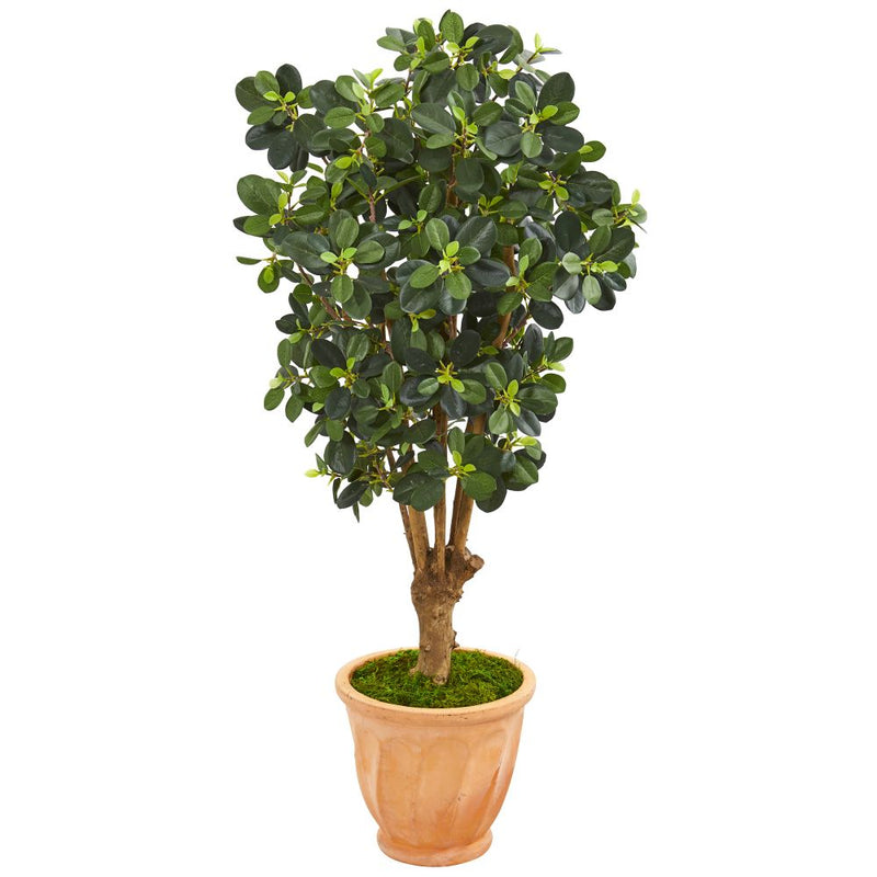 46” Panda Ficus Artificial Tree in Terra-Cotta Planter Default Title