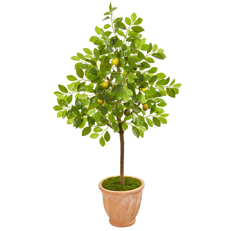 55” Lemon Artificial Tree in Terra Cotta Planter Default Title