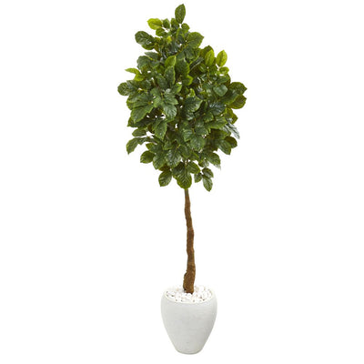 69” Beech Leaf Artificial Tree in White Planter Default Title