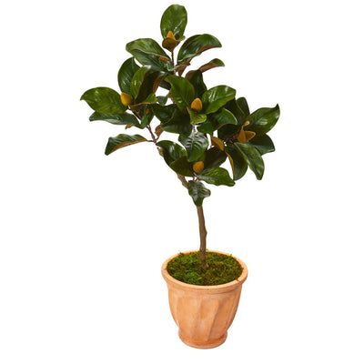 45” Magnolia Leaf Artificial Tree in Terra-cotta Planter Default Title