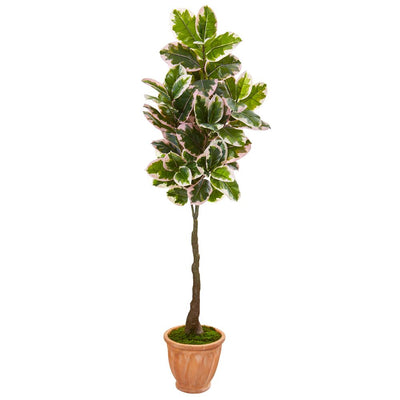 67” Variegated Rubber Leaf Artificial Tree in Terra-Cotta Planter (Real Touch) Default Title