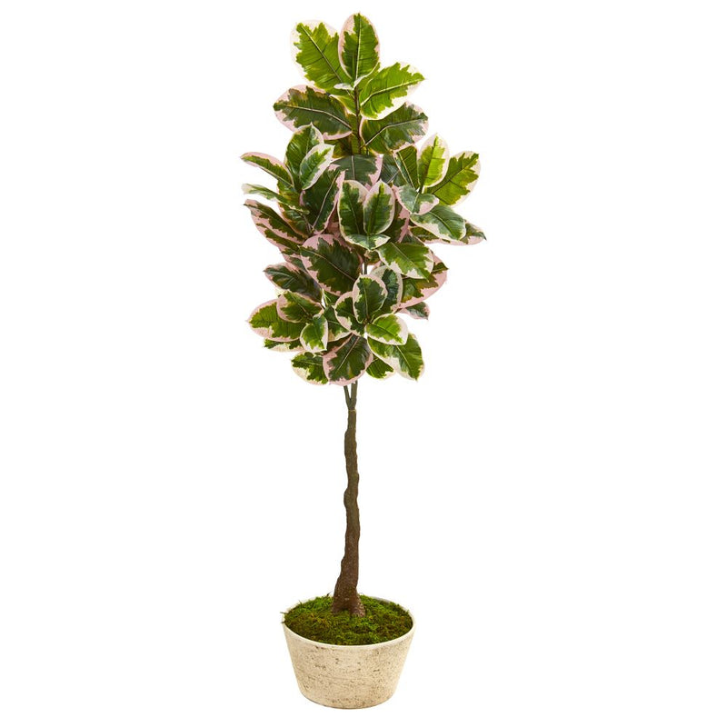 67” Variegated Rubber Leaf Artificial Tree in Planter (Real Touch) Default Title