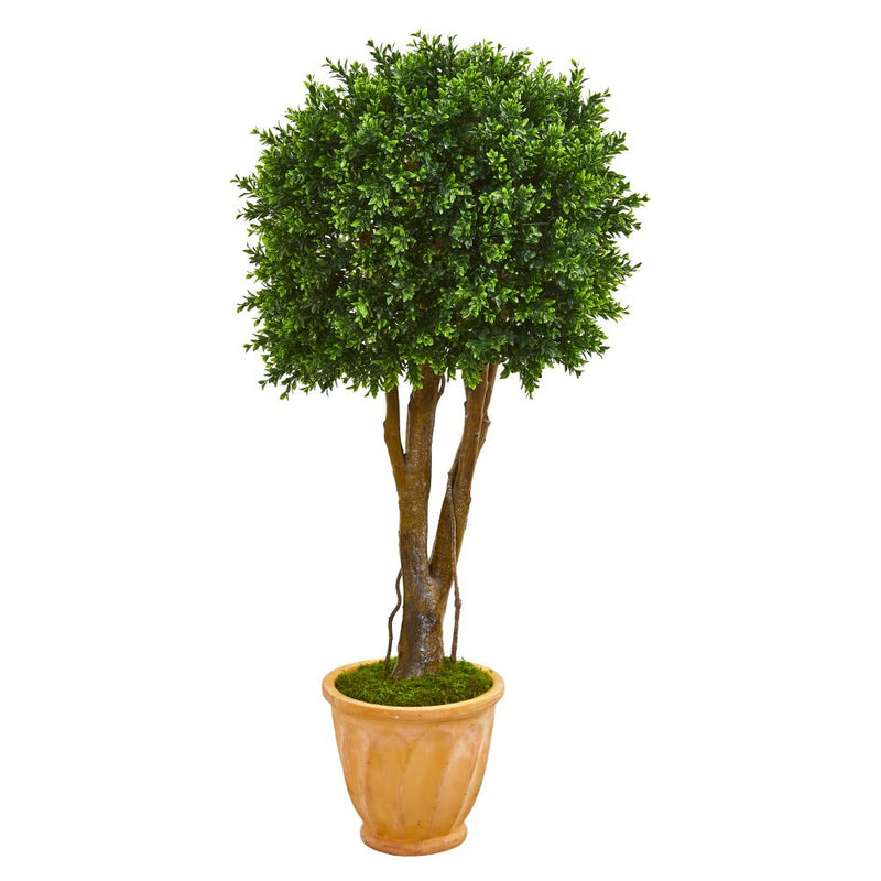 50” Boxwood Artificial Topiary Tree in Terra-Cotta Planter UV Resistant (Indoor/Outdoor) Default Title