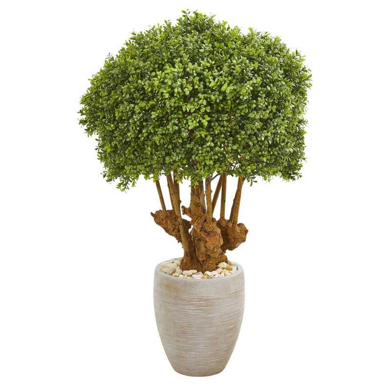 41” Boxwood Artificial Topiary Tree in Sandstone Planter (Indoor/Outdoor) Default Title