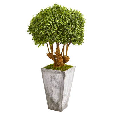 51” Boxwood Artificial Topiary Tree in Cement Planter (Indoor/Outdoor) Default Title