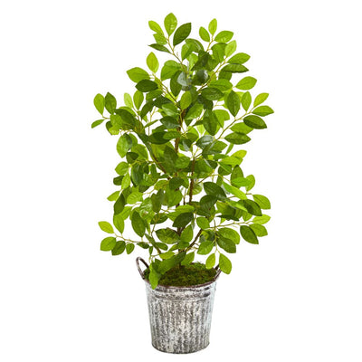 37” Mini Ficus Artificial Tree in White Washed Vintage Metal Pail Default Title