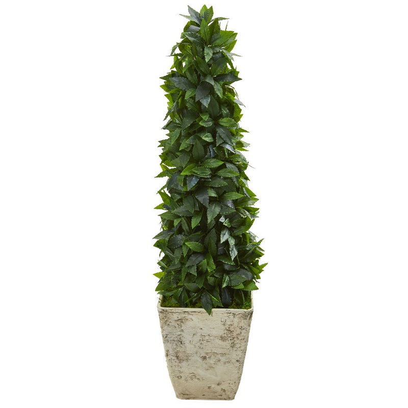 38” Sweet Bay Cone Topiary Artificial Tree in Country White Planter Default Title