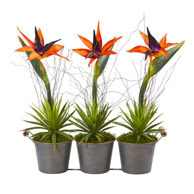 14” Bird of Paradise and Succulent Artificial Arrangement in Trio Metal Planter Default Title