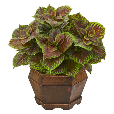 17” Coleus Artificial Plant in Decorative Planter (Real Touch) Default Title