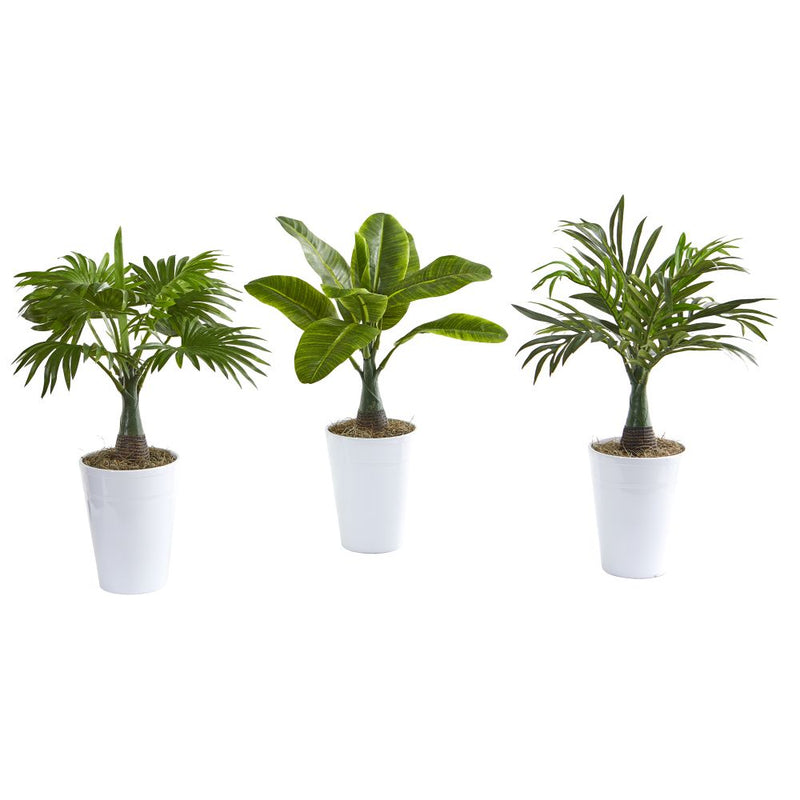 18” Assorted Mini Palm and Banana Artificial Plant in White Planter (Set of 3) Default Title