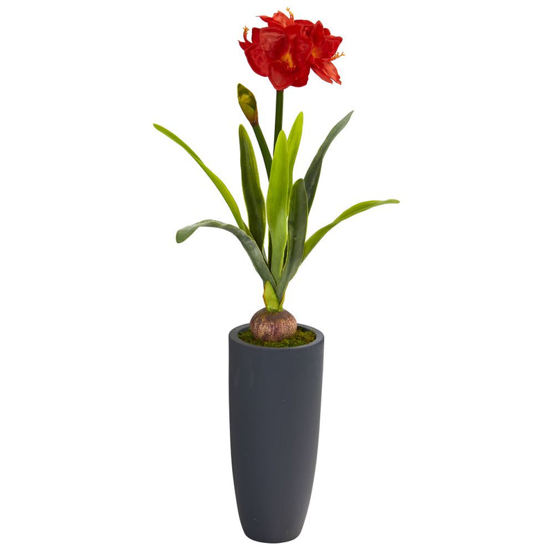 3.5’ Amaryllis Artificial Plant in Gray Planter Default Title