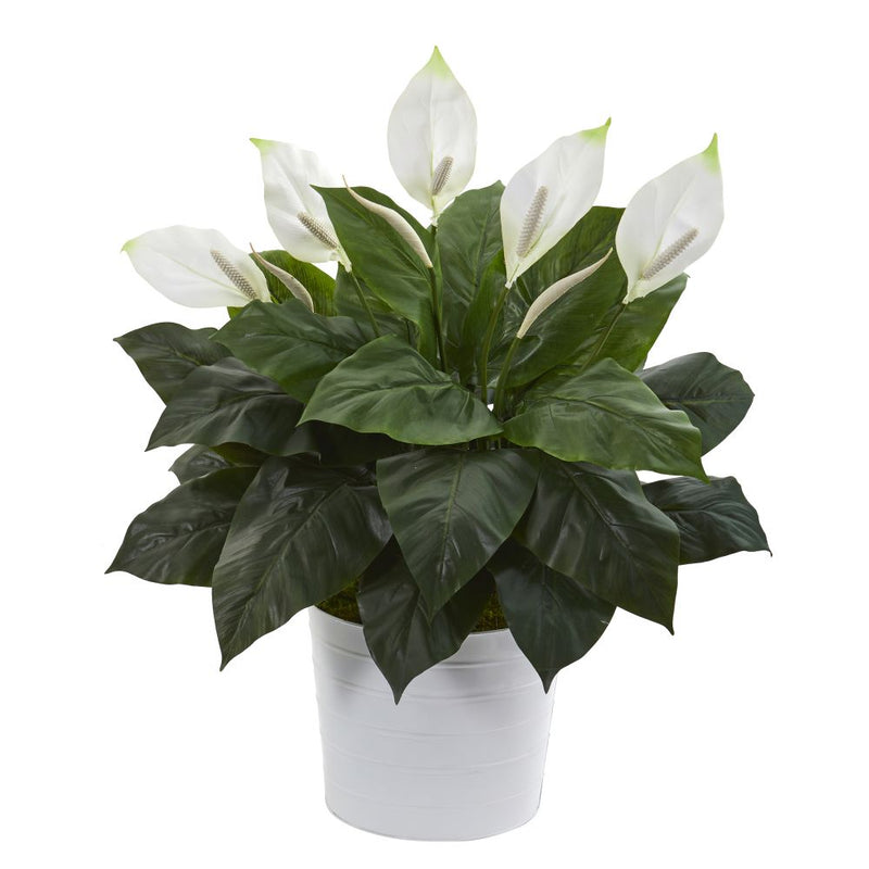 33” Spathiphyllum Artificial Plant in White Planter Default Title