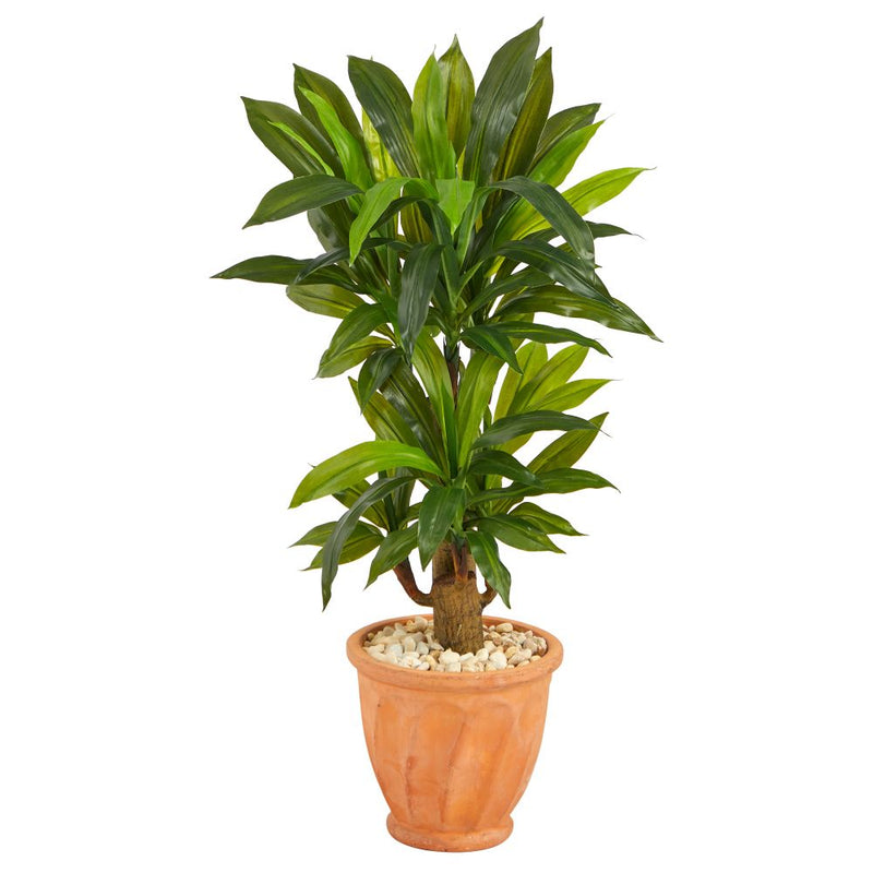 38” Corn Stalk Dracaena Artificial Plant in Terra-Cotta Planter (Real Touch) Default Title