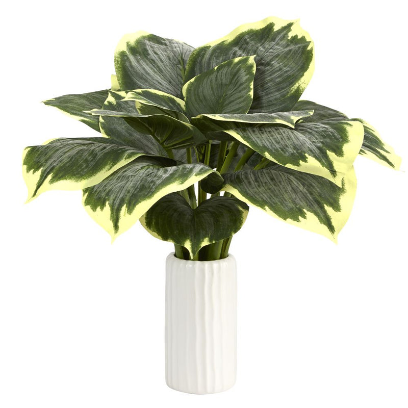 19” Variegated Hosta Artificial Plant in White Planter Default Title