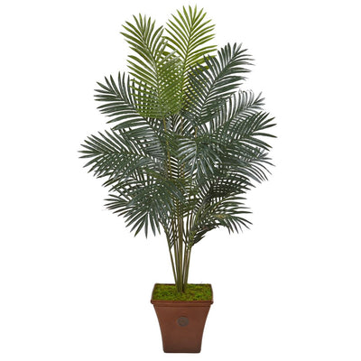 65” Paradise Palm Artificial Plant in Brown Planter Default Title