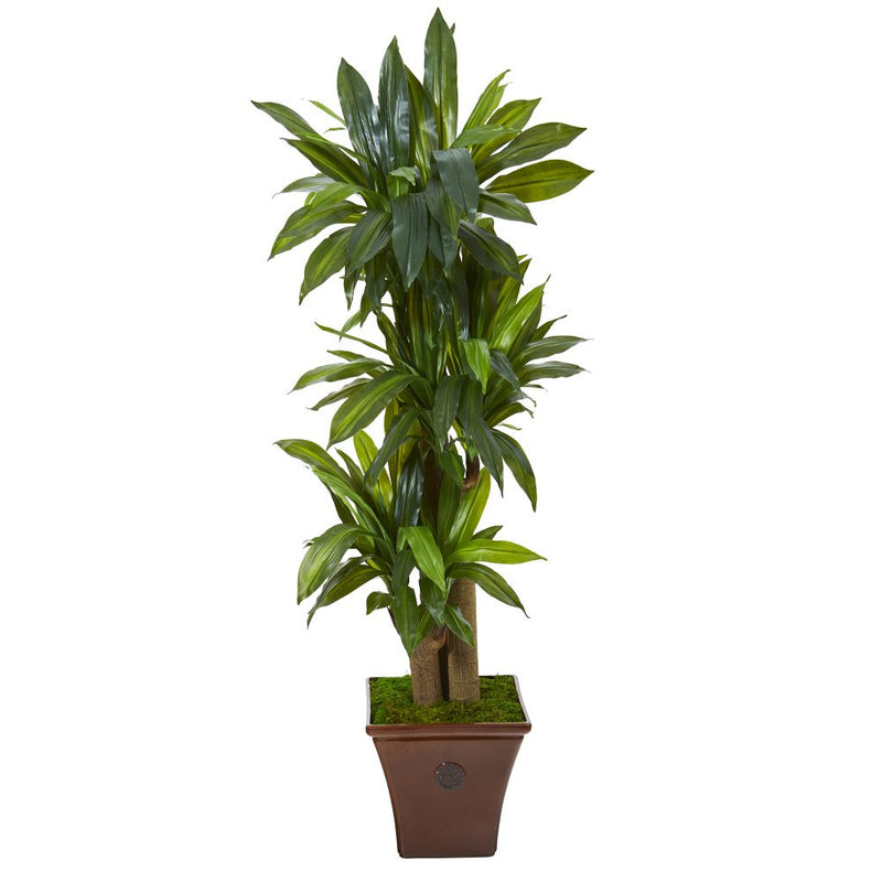 57” Corn Stalk Dracaena Artificial Plant in Brown Planter (Real Touch) Default Title